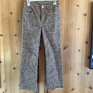Divided Cheetah Print Pants